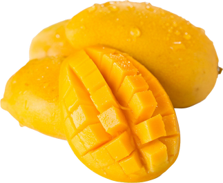 Cutout of Fresh Mangoes with Waterdrops